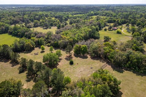 Land in Reddick, Florida № 1602882 - photo 16