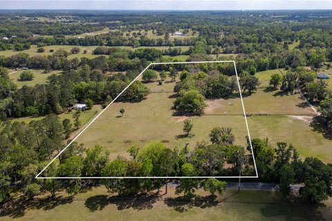 Land in Reddick, Florida № 1602882 - photo 4
