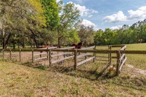 Land in Reddick, Florida № 1602882 - photo 22