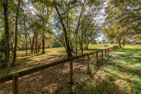 Land in Reddick, Florida № 1602882 - photo 29