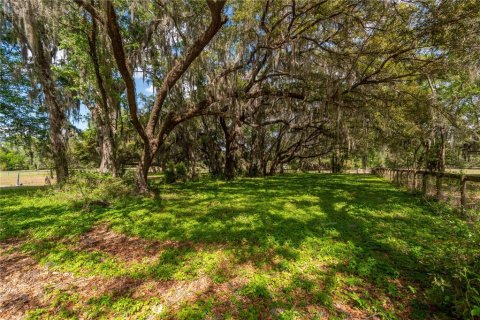 Land in Reddick, Florida № 1602882 - photo 24