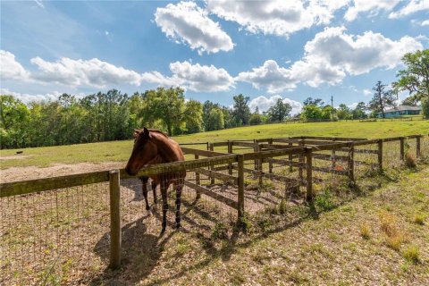 Land in Reddick, Florida № 1602882 - photo 23