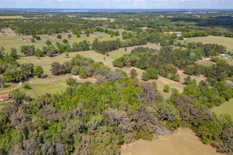 Land in Reddick, Florida № 1602882 - photo 11