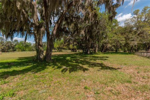Land in Reddick, Florida № 1602882 - photo 21