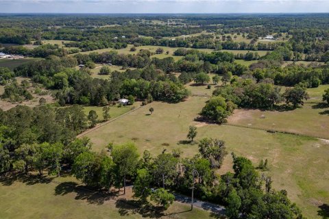 Land in Reddick, Florida № 1602882 - photo 3