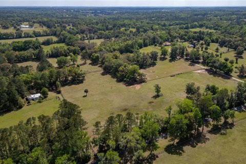 Land in Reddick, Florida № 1602882 - photo 6