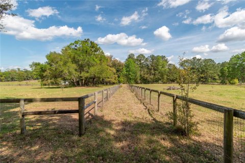 Land in Reddick, Florida № 1602882 - photo 27