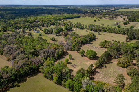 Land in Reddick, Florida № 1602882 - photo 8