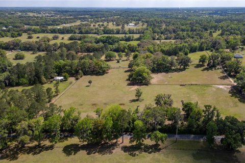 Land in Reddick, Florida № 1602882 - photo 5