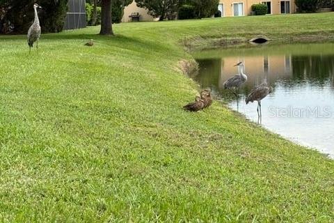 Touwnhouse à vendre à Tampa, Floride: 2 chambres, 116.03 m2 № 1899545 - photo 21