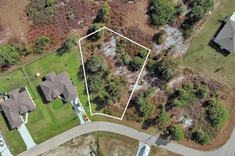 Land in Lehigh Acres, Florida № 2118506 - photo 3