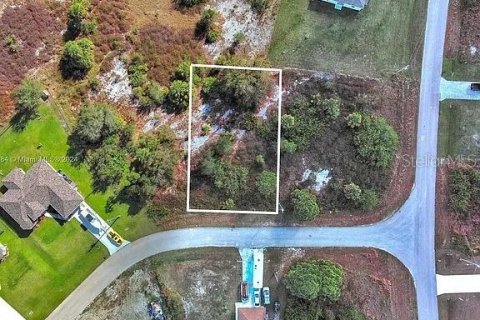 Land in Lehigh Acres, Florida № 2118506 - photo 2