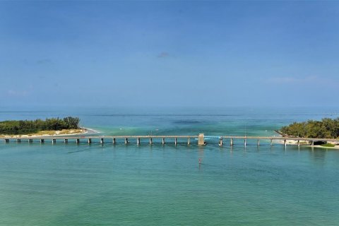 Купить виллу или дом в Брейдентон, Флорида 6 комнат, 242.75м2, № 1800062 - фото 26