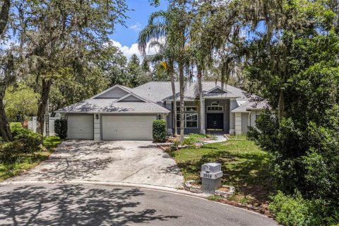 House in Plant City, Florida 4 bedrooms, 256.87 sq.m. № 1815025 - photo 1