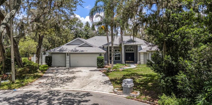 House in Plant City, Florida 4 bedrooms, 256.87 sq.m. № 1815025