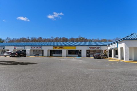 Commercial property in Crystal River, Florida 2564.1 sq.m. № 2213903 - photo 12