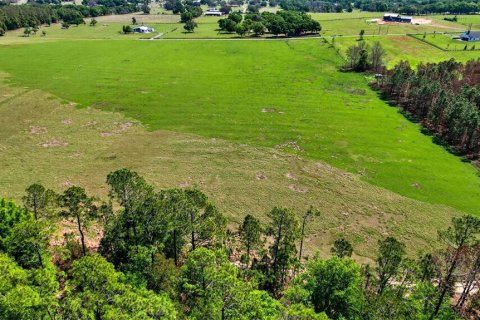 Land in Dade City, Florida № 2106203 - photo 10