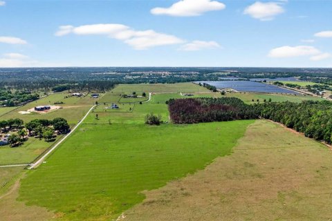 Land in Dade City, Florida № 2106203 - photo 5