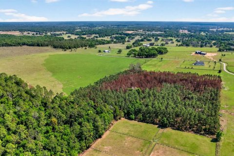 Land in Dade City, Florida № 2106203 - photo 8