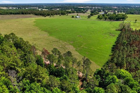 Land in Dade City, Florida № 2106203 - photo 9
