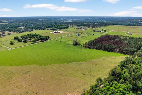 Land in Dade City, Florida № 2106203 - photo 6