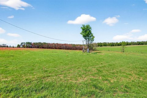 Land in Dade City, Florida № 2106203 - photo 26