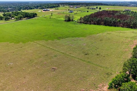 Land in Dade City, Florida № 2106203 - photo 11