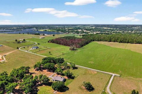 Land in Dade City, Florida № 2106203 - photo 3