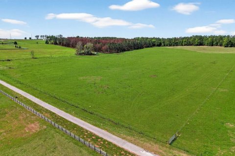 Land in Dade City, Florida № 2106203 - photo 12