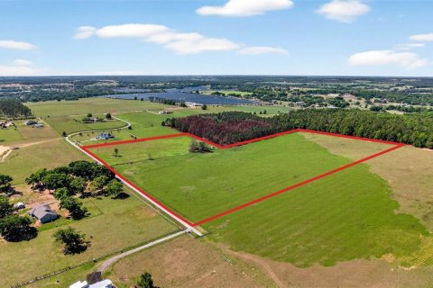 Land in Dade City, Florida № 2106203 - photo 21