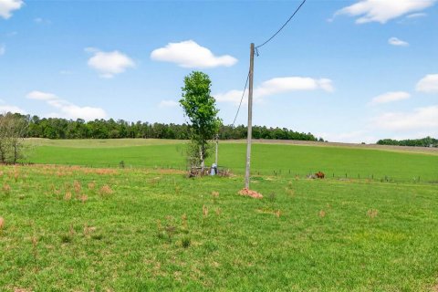 Land in Dade City, Florida № 2106203 - photo 25