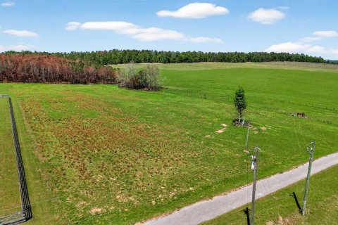 Land in Dade City, Florida № 2106203 - photo 13