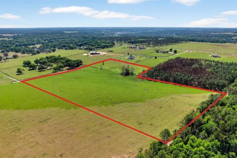 Land in Dade City, Florida № 2106203 - photo 19