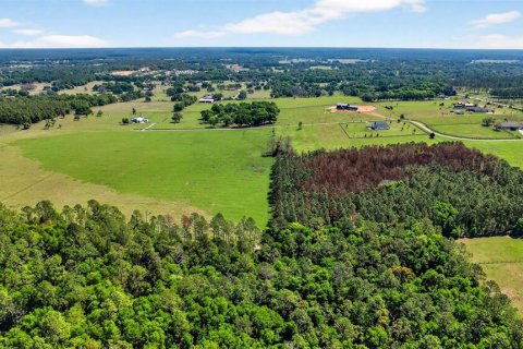 Land in Dade City, Florida № 2106203 - photo 7