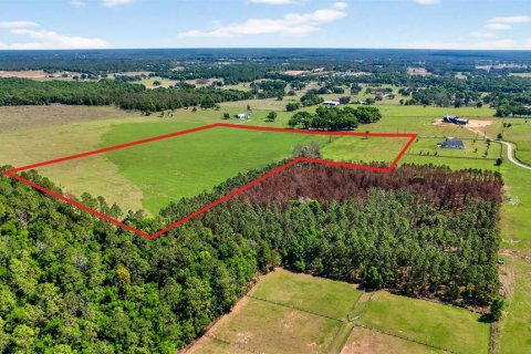 Land in Dade City, Florida № 2106203 - photo 17