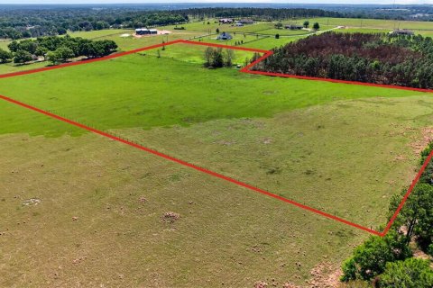 Land in Dade City, Florida № 2106203 - photo 15