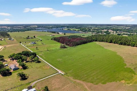 Land in Dade City, Florida № 2106203 - photo 4