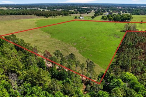 Land in Dade City, Florida № 2106203 - photo 16