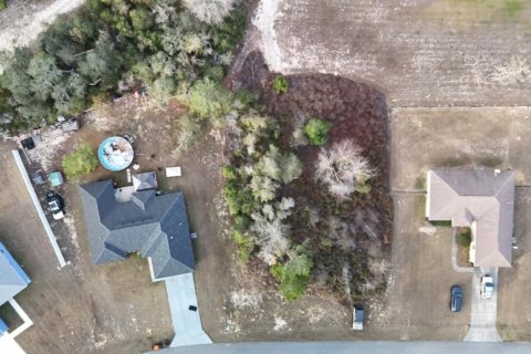 Land in Ocala, Florida № 2330637