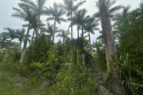 Купить коммерческую недвижимость в Хомстед, Флорида № 1897955 - фото 5