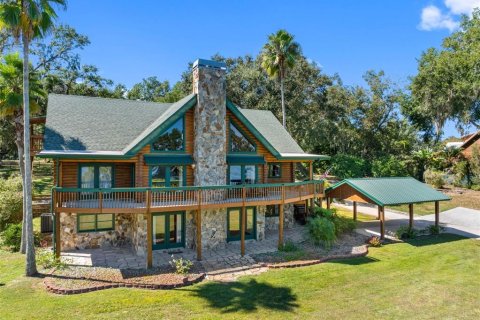 Casa en venta en Thonotosassa, Florida, 6 dormitorios, 392.7 m2 № 2117803 - foto 2