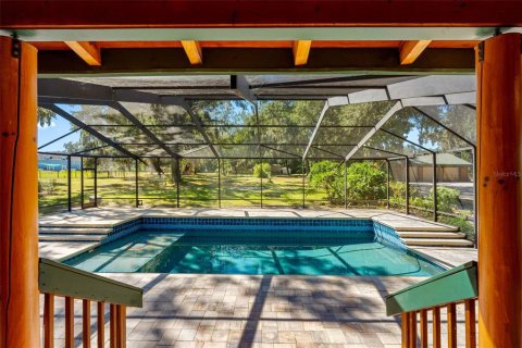 Casa en venta en Thonotosassa, Florida, 6 dormitorios, 392.7 m2 № 2117803 - foto 10