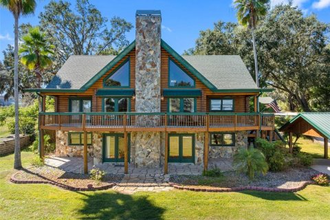House in Thonotosassa, Florida 6 bedrooms, 392.7 sq.m. № 2117803