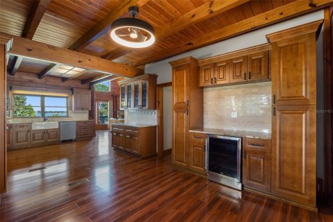 Casa en venta en Thonotosassa, Florida, 6 dormitorios, 392.7 m2 № 2117803 - foto 8