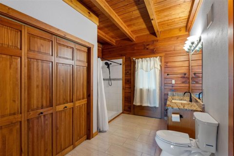 Casa en venta en Thonotosassa, Florida, 6 dormitorios, 392.7 m2 № 2117803 - foto 17