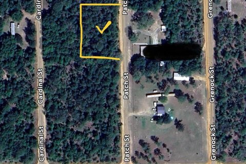 Land in Interlachen, Florida № 2160387