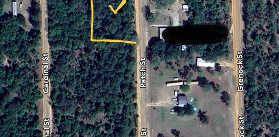 Land in Interlachen, Florida № 2160387