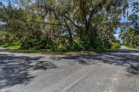 Land in Crystal River, Florida № 1912859 - photo 13