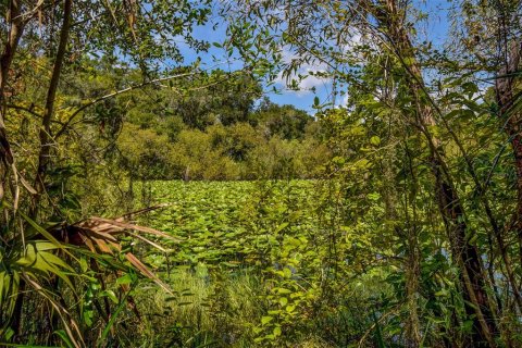 Land in Crystal River, Florida № 1912859 - photo 17