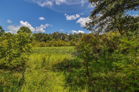 Land in Crystal River, Florida № 1912859 - photo 19
